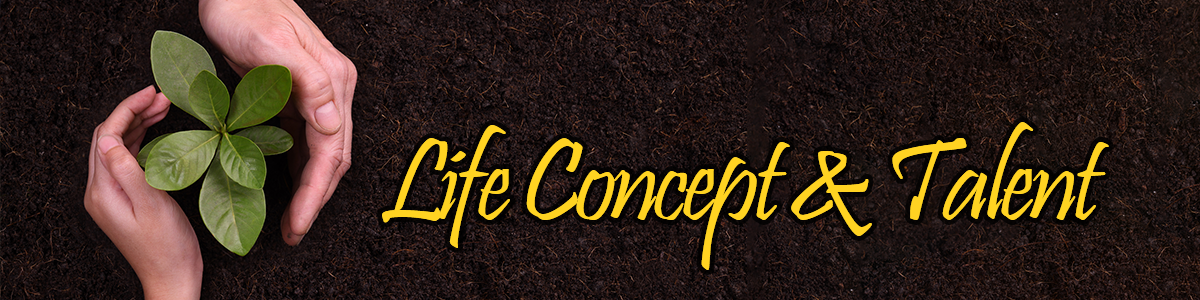 Core&Seed