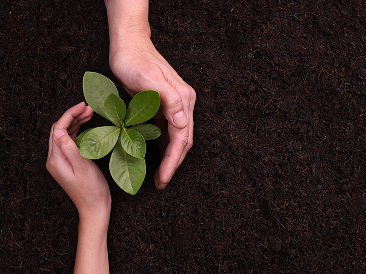 CORE&SEED